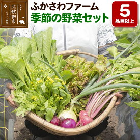 【ふるさと納税】ふかさわファーム 季節の野菜セット