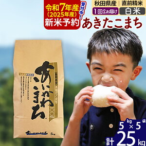 【ふるさと納税】※令和7年産 新米予約※秋田県産 あきたこまち 25kg【白米】(5kg小分け袋) 【1回のみお届け】2025産 お米 藤岡農産