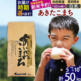 【ふるさと納税】※令和6年産 新米予約※秋田県産 あきたこまち 50kg【白米】(5kg小分け袋) 【1回のみお届け】2024産 お米 藤岡農産