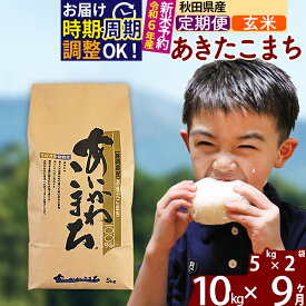 【ふるさと納税】※令和6年産 新米予約※《定期便9ヶ月》秋田県産 あきたこまち 10kg【玄米】(5kg小分け袋) 2024年産 お届け周期調整可能 隔月に調整OK お米 藤岡農産