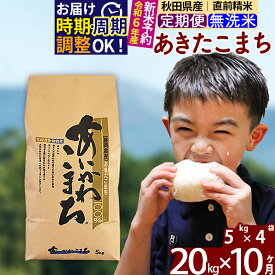 【ふるさと納税】※令和6年産 新米予約※《定期便10ヶ月》秋田県産 あきたこまち 20kg【無洗米】(5kg小分け袋) 2024年産 お届け周期調整可能 隔月に調整OK お米 藤岡農産