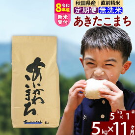 【ふるさと納税】※令和7年産／R8産新米予約※ 《定期便11ヶ月》秋田県産 あきたこまち 5kg【無洗米】(5kg小分け袋) 2025年産 2026年産 令和8年産 お届け時期選べる お届け周期調整可能 隔月に調整OK お米 藤岡農産 [藤岡農産 秋田]