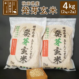 【ふるさと納税】発芽玄米 2kg×2袋