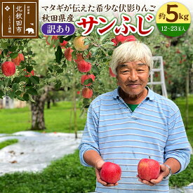 【ふるさと納税】りんご 秋田県産 サンふじ（訳あり） 「伏影りんご」 約5kg (12〜23玉入)