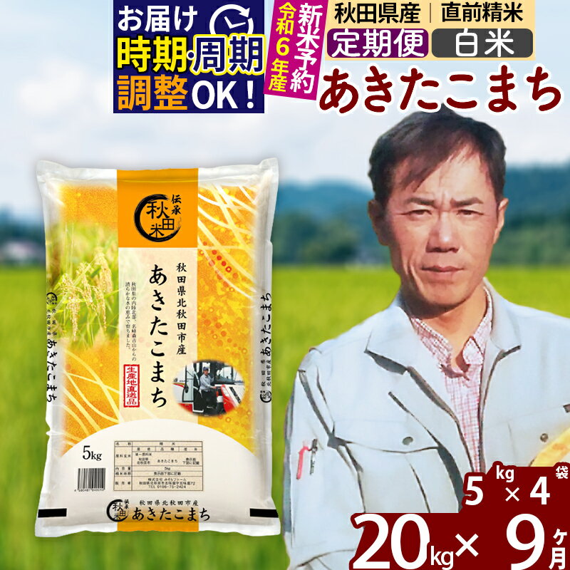 《定期便9ヶ月》 秋田県産 あきたこまち 20kg (5kg×4袋)×9回 計180kg 令和4年産 お届け時期選べる  お届け周期調整可能 隔月に調整OK 一等米 9か月 9ヵ月 9カ月 9ケ月 20キロ お米