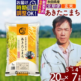 【ふるさと納税】※令和6年産 新米予約※《定期便7ヶ月》秋田県産 あきたこまち 20kg【玄米】(5kg小分け袋) 2024年産 お届け周期調整可能 隔月に調整OK お米 みそらファーム