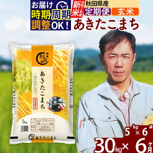 【ふるさと納税】※令和7年産 新米※《定期便6ヶ月》秋田県産 あきたこまち 30kg【玄米】(5kg小分け袋) 2025年産 お届け時期選べる お届け周期調整可能 隔月に調整OK お米 みそらファーム