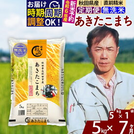 【ふるさと納税】※令和6年産 新米予約※《定期便7ヶ月》秋田県産 あきたこまち 5kg【無洗米】(5kg小分け袋) 2024年産 お届け周期調整可能 隔月に調整OK お米 みそらファーム