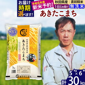 【ふるさと納税】※令和6年産 新米予約※秋田県産 あきたこまち 30kg【無洗米】(5kg)【1回のみお届け】2024産 お米 みそらファーム