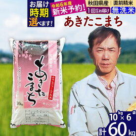 【ふるさと納税】※令和6年産 新米予約※秋田県産 あきたこまち 60kg【無洗米】(10kg袋)【1回のみお届け】2024産 お米 みそらファーム