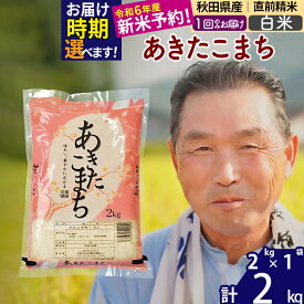 【ふるさと納税】秋田県産 あきたこまち 2kg【白米】(2kg小分け袋)【1回のみお届け】令和5年産 お届け時期選べる お米 おおもり 令和6年産 新米予約