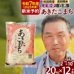 yӂ邳Ɣ[Łzߘa7NY Vė\񁦁s12tHcY ܂ 20kgyāz(2kg) 2025NY ͂Iׂ ͂\ uɒOK  