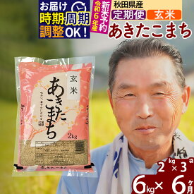 【ふるさと納税】《定期便6ヶ月》秋田県産 あきたこまち 6kg【玄米】(2kg小分け袋) 令和5年産 発送時期が選べる 隔月お届けOK お米 おおもり 令和6年産 新米予約