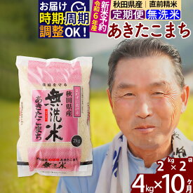 【ふるさと納税】《定期便10ヶ月》秋田県産 あきたこまち 4kg【無洗米】(2kg小分け袋) 令和5年産 発送時期が選べる 隔月お届けOK お米 おおもり