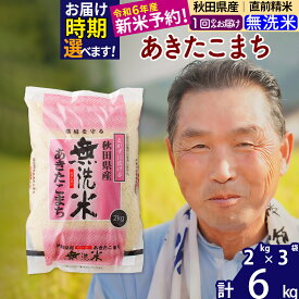 【ふるさと納税】※令和6年産 新米予約※秋田県産 あきたこまち 6kg【無洗米】(2kg小分け袋)【1回のみお届け】2024年産 お米 おおもり