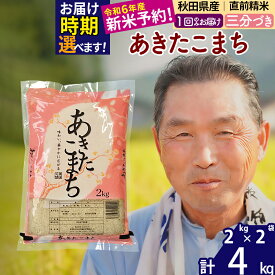 【ふるさと納税】秋田県産 あきたこまち 4kg【3分づき】(2kg小分け袋)【1回のみお届け】令和5年産 お届け時期選べる お米 おおもり 令和6年産 新米予約