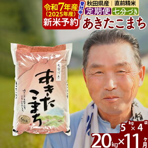 yӂ邳Ɣ[Łzߘa7NY Vė\񁦁s11tHcY ܂ 20kgy7Âz(5kg) 2025NY ͂Iׂ ͂\ uɒOK  