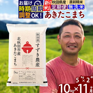 【ふるさと納税】※令和7年産 新米※《定期便11ヶ月》秋田県産 あきたこまち 10kg【無洗米】(5kg小分け袋) 2025年産 お届け時期選べる お届け周期調整可能 隔月に調整OK お米 すずき農産
