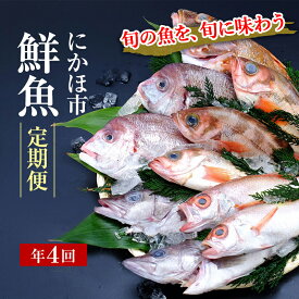 【ふるさと納税】開けたらすぐ食べられる日本海の鮮魚定期便（2～3人前・年4回）(魚介 下処理済み 詰合せ 詰め合わせ セット)　【定期便・魚貝類 加工食品 頒布会 魚介類】