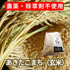 【ふるさと納税】農薬・除草剤不使用で栽培したあきたこまち「郷山のお米 2kg」（玄米）　【お米 米】