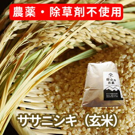【ふるさと納税】農薬・除草剤不使用で栽培したササニシキ「郷山のお米 2kg」（玄米）　【玄米 お米 米】