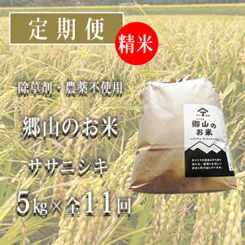 【ふるさと納税】秋田県産ササニシキ（精米）郷山のお米5kg×11ヶ月定期便（11回 11ヵ月）　【定期便・米 お米 ササニシキ】