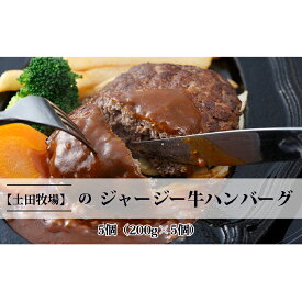 【ふるさと納税】ジャージー牛を使用した ハンバーグ 5個（200g×5個）　【お肉 ハンバーグ 加工食品 惣菜 レトルト ジャージー牛】