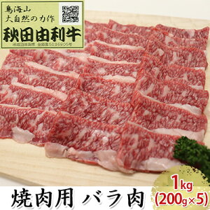 yӂ邳Ɣ[ŁzHcR ēp o 1kgi200g×5pbN Ăj o(Jr)   o[xL[