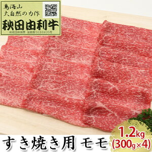 yӂ邳Ɣ[ŁzHcR Ăp  1.2kgi300g×4pbNj  