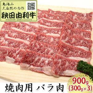 yӂ邳Ɣ[ŁzHcR ēp o 900gi300g×3pbN Ăj o(Jr)   o[xL[