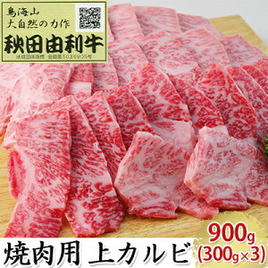 yӂ邳Ɣ[ŁzHcR ēp Jr 900gi300g×3pbN Ăj o(Jr)   o[xL[