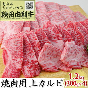 yӂ邳Ɣ[ŁzHcR ēp Jr 1.2kgi300g×4pbN Ăj o(Jr)   o[xL[