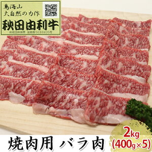 yӂ邳Ɣ[ŁzHcR ēp o 2kgi400g×5pbN Ăj o(Jr)   o[xL[