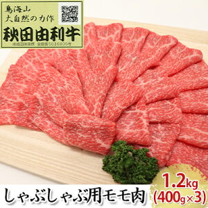 yӂ邳Ɣ[ŁzHcR Ԃԗp  1.2kgi400g×3pbNj   /Ԃ