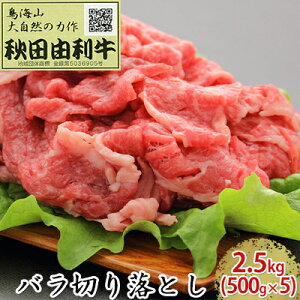 yӂ邳Ɣ[ŁzHcR o؂藎Ƃ 2.5kgi500g×5pbNj  