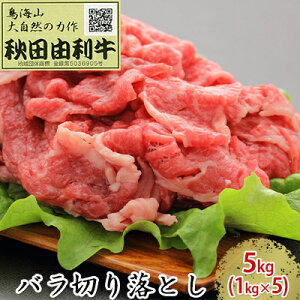 yӂ邳Ɣ[ŁzHcR o؂藎Ƃ 5kgi1kg×5pbNj  