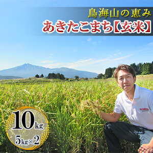 �y�ӂ邳�Ɣ[�Łz�V�� �� ���� ���C�R�̌b�� �_�ƒ����I ���������܂� 10kg(5kg×2�� ����) �T�u�X�N