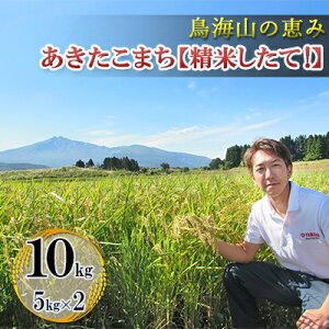 yӂ邳Ɣ[ŁzV   CŘb _ƒI ܂ 10kg(5kg×2)m āIn TuXN