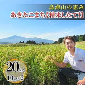 【ふるさと納税】鳥海山の恵み 農家直送！ あきたこまち 20kg(10kg×2袋)［精米 したて！］　【お米 あきたこまち 米 20kg サブスク】