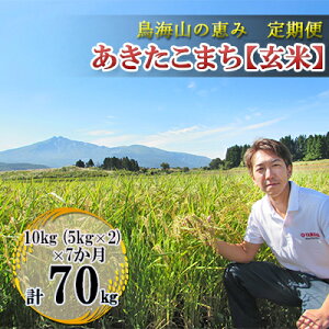 yӂ邳Ɣ[ŁzV   yցz10kg×7 CŘb _ƒI ܂iāE5kg×2܁j 7J 7 TuXN