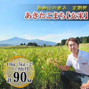 yӂ邳Ɣ[ŁzV   yցz10kg×9 CŘb _ƒI ܂iāE5kg×2܁j 9J 9 TuXN