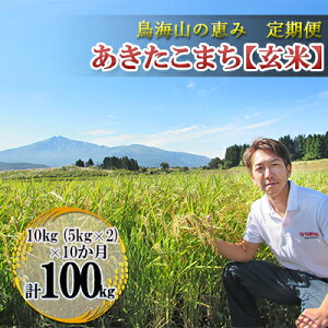 yӂ邳Ɣ[ŁzV   yցz10kg×10 CŘb _ƒI ܂iāE5kg×2܁j 10J 10 TuXN