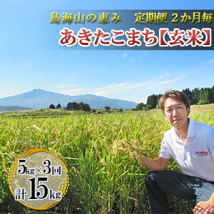 �y�ӂ邳�Ɣ[�Łz�V�� �� ���� �y����ցz2�������Ƃ�5kg×3�� ���C�R�̌b�� �_�ƒ����I ���������܂��i���āE�u���j 15kg �T�u�X�N