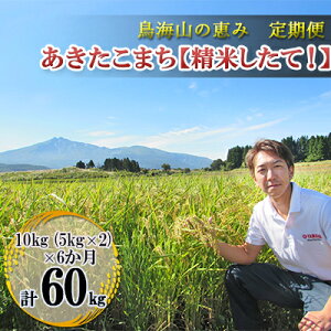 �y�ӂ邳�Ɣ[�Łz�V�� �� ���� �y����ցz10kg�i5kg×2�܁j×6���� ���C�R�̌b�� �_�ƒ����I ���������܂��m���� �����āI�n 6�� ���N �T�u�X�N