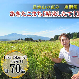 yӂ邳Ɣ[ŁzV   yցz10kgi5kg×2܁j×7 CŘb _ƒI ܂m āIn 7J 7 TuXN