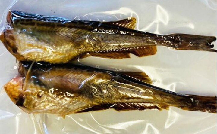 楽天市場 ふるさと納税 秋田の味覚 骨抜き子持ちハタハタ 醤油漬け焼き 大 ブリコ入り 2尾 2パック 小分け 魚貝類 加工食品 子持ちハタハタ はたはた 秋田県にかほ市
