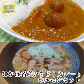 【ふるさと納税】《ダイニングぶなの森オリジナル》ご当地カレー［いちじくカレー］とホルモン煮込みのレトルトセット（各1個 計2個）　【加工食品 惣菜 レトルト お肉 牛肉 いちじくカレー ホルモン煮込み ホルモン】