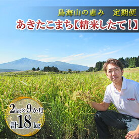 【ふるさと納税】《定期便》2kg×9ヶ月 鳥海山の恵み！秋田県産 あきたこまち ひの米（精米）計18kg（2kg×9回連続）　【定期便・ ご飯 白米 主食 ライス にかほ市 釜ヶ台 国産 おにぎり お弁当 9回 お届け 】