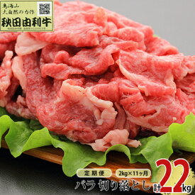【ふるさと納税】《定期便》11ヶ月連続 秋田由利牛 バラ切り落とし 2kg（1kg×2パック）　 お肉 肉 牛肉 バラ 炒め物 黒毛和牛 赤身 サシ 11回 産地直送 冷凍