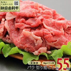 【ふるさと納税】《定期便》11ヶ月連続 秋田由利牛 バラ切り落とし 5kg（1kg×5パック）　【定期便・ お肉 肉 牛肉 バラ 炒め物 黒毛和牛 赤身 サシ 11回 産地直送 冷凍 】